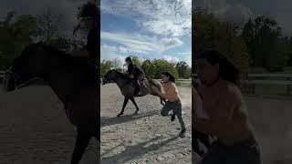 Man vs Horse