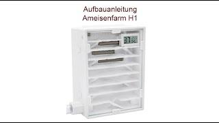 Aufbauanleitung Ameisenfarm H2