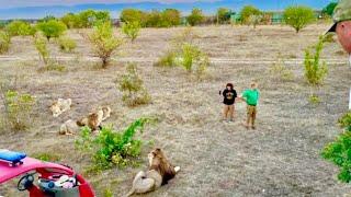 Мы никогда с папой не перестанем волноваться пока мама с Олегом Алексеевичем находятся среди львов!