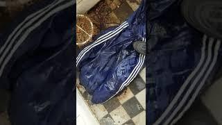 dirty adidas jacket