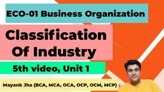 Classification of Industry | ECO-01 Business Organisation | ECO-01 Business Organization | eco01