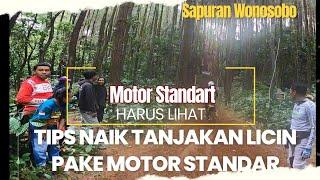 TIPS NANJAK MUDAH PAKE MOTOR STANDAR‼️ EVENT TRABAS BHAYANGKARA. Sapuran Wonosobo. Jan 2024 part 3