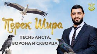 ‍⬛Перек Шира: Песнь аиста ворона и скворца  (Рав Исраэль Якобов) Цикл: Песнь Творения. #38