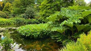 Tour of the Beth Chatto Gardens, Essex.