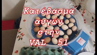 Κατέβασμα αυγών στην VAL  51 | #chicken #farmajimcott #farma #greek #greece #egg #κοτεσ #eggs