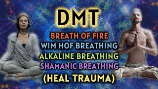 [HEAL TRAUMA] Anxiety Relieving Breathing Exercises | DMT Breathing (3 Guided Rounds)