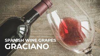 Spanish Wine Grapes: Graciano