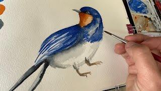 Watercolor Journal Day 61 (Barn Swallow)