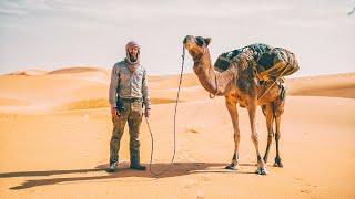 8 Tage durch die Sahara - Wüsten DSÜ mit Kamelen