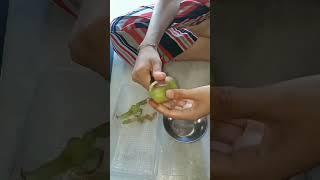 Zespri Kiwifruit  Green #shorts #viral #ycc