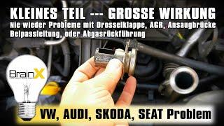 Diesel 2.0 TDI Motor Probleme vermeiden - SKODA AUDI SEAT VW EA189 Ansaugbrücke und AGR Ventil