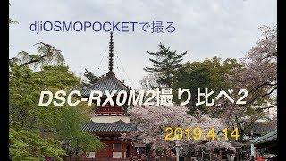 【dji OSMO POCKETで撮る】SONY DSC-RX0M2と手持ち撮影を川越に行って比較してみたよ。RX0M2で動画撮影の際、手ブレを減少させるにはジンバルなしでは出来ない事が分かったよ。