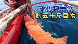 漁民用小魚博大魚，空手騙到一堆值錢靚貨，東星斑當餌更是釣出五十斤巨物！