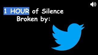 1 Hour of Silence Broken by Twitter Notification Sound