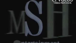 Abrams Gentle/MSH/Summit Media Group (1995)