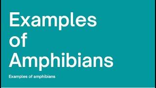 Examples of Amphibians | Educational video. Season 2 Ep 4