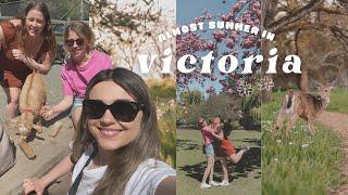 Summer Is Here! Weekend Vlog  // Grocery Haul, Baby Goats, Cherry Blossoms & Beacon Hill Park