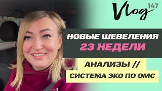 ЭКО. 23 недели // Шевеления //Анализы // Что думаю про систему ЭКО