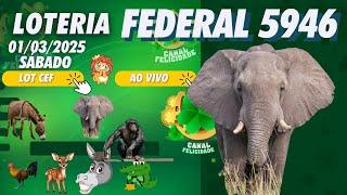  LOTERIA FEDERAL DO BRASIL AO VIVO  extração 5946 - JOGO DO BICHO  - Live  01/03/2025