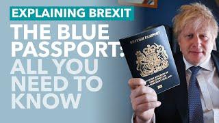 Britain's Blue Passports: Everything You Need to Know - TLDR News