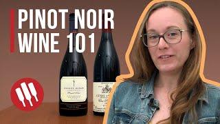 Pinot Noir (Everything you need to know) | Grapes 101