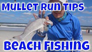 Jacksonville Florida Surf Fishing Mullet Run - Beach fishing mullet run