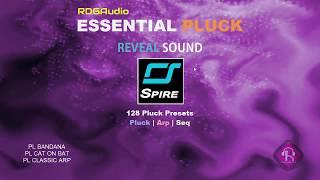 RDGAudio Essential Pluck Reveal Sound Spire AU VST Presets Sound Bank Demo