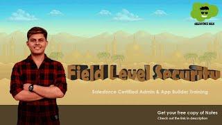 What is Field Level Security in Salesforce?