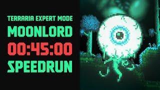 Terraria - [Expert Mode Speedrun] Moonlord in 45 minutes (Seeded ANY% RTA)