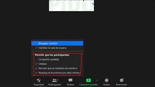 Opciones de seguridad  - Guía completa de ZOOM