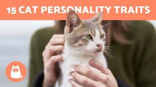 15 Best Cat PERSONALITY Traits  Do You Know them ALL?