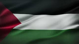 Palestine Flag Waving | GREEN SCREEN & CHROMA MATTE