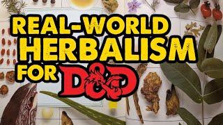 Real-World Herbalism for DnD Campaigns