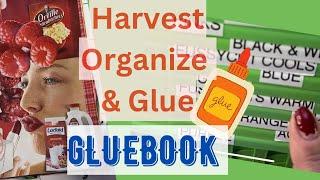 Color Gluebook | My  process | harvest, organize and glue!