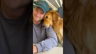 Dog Insists On Saying Hi To Everyone On His Train Rides | The Dodo  #thedodoanimals #dodoanimals