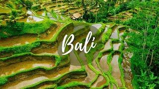 Tegallalang Rice Terraces - the Most Famous Rice Fields in Bali
