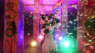 「Colors」→ Furry Music Video feat. Coco | by RedNoise & KeksTheFurry