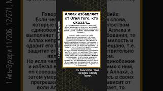 Аллах избавляет от Огня того, кто сказал…