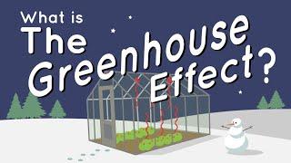 What Is the Greenhouse Effect?