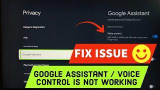 SONY Smart Google TV : How to Fix Voice Control or Google Assistant Not Working Issue