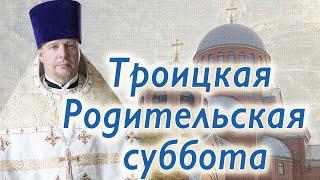 Троицкая Родительская суббота. Проповедь священника Димитрия Лушникова.