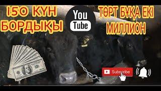 4 БҰҚА ЕКІ МИЛИОН | 4  БЫКА ДВА МИЛИОНА