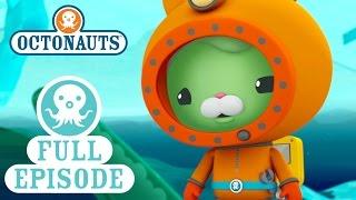 Octonauts: The Over Under Adventure