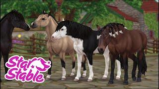 SPOILERS: Gotland Pony Release Date, Coats, and Price