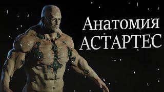 Анатомия Адептус Астартес ( Космодесантник ) I Warhammer 40 000 Lore