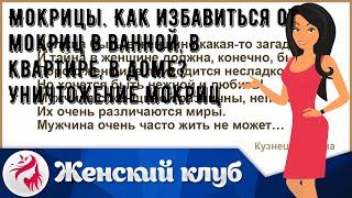 Мокрицы. Как избавиться от мокриц в ванной, в квартире, в доме? Уничтожение мокриц