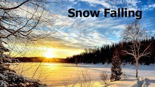 Sleep with Snow Falling on Lake with Relaxing Music for Relaxation, Meditation, Sleep