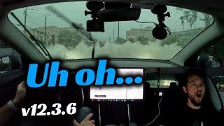 Tesla on FSD Embarrasses Gas Cars in Heavy Flooding Conditions! | v12.3.6