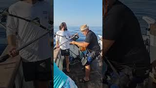 Professional fishing in Kemer