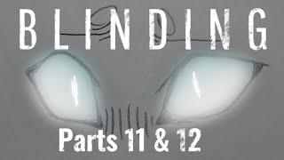 Blinding | parts 11 & 12